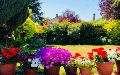 How Desirable is a House With a South Facing Garden in Windsor, Datchet, Holyport, Maidenhead, Bracknell, Binfield & Wokingham?